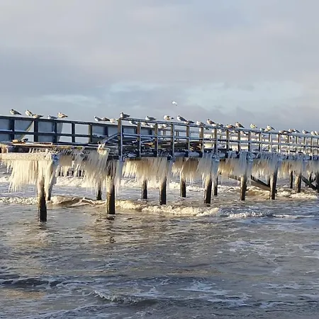 Tropikana Domki, 미엘노