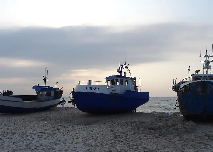 Tropikana Domki, 山林小屋 *