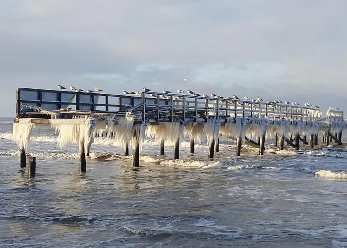 Tropikana Domki, Mielno (Koszalin)