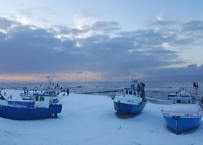 Tropikana Domki, Chata